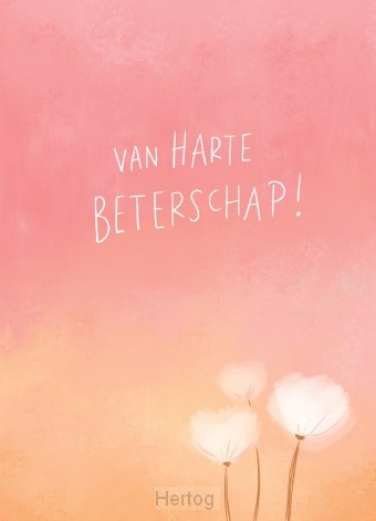 Van harte beterschap! - minikaart